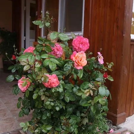 Guest house Sari Vendeghaz *