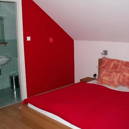 Sari Vendeghaz Guest house *